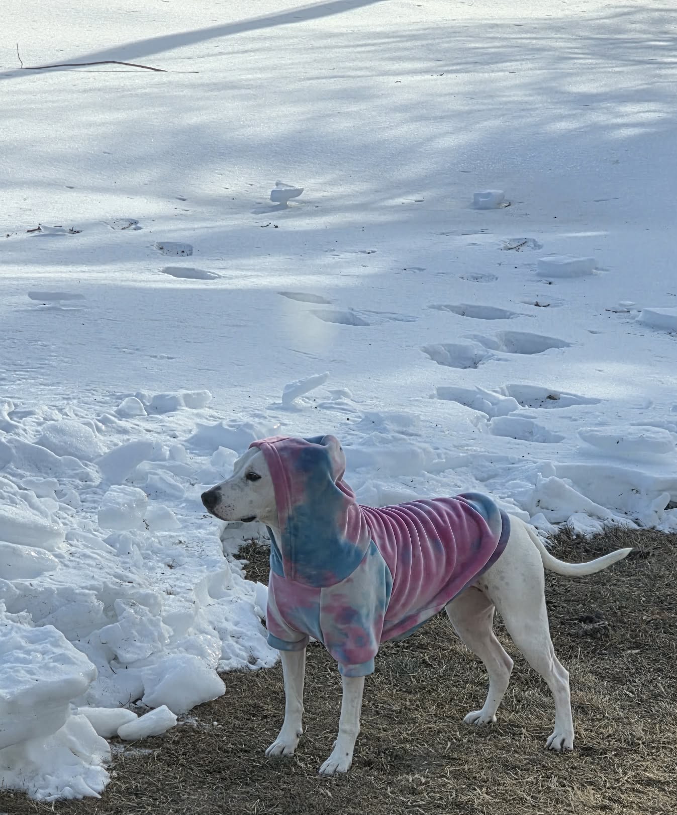 Girl outside in snow wearing hoodie